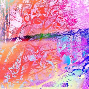 New Artwork Under the Trees Colorful